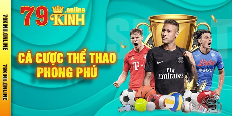 Cá Cược Thể Thao Phong Phú